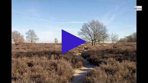 Link 19 februari 2023